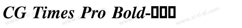 CG Times Pro Bold字体转换
